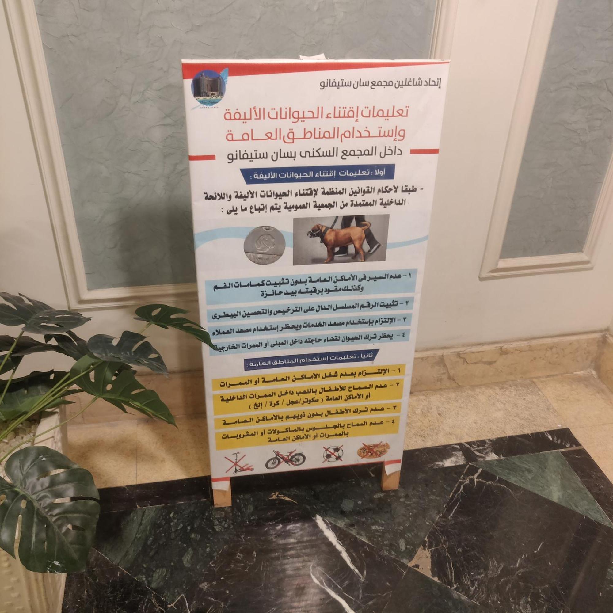 أجنحة ابراج سان استفانو * Alexandrie